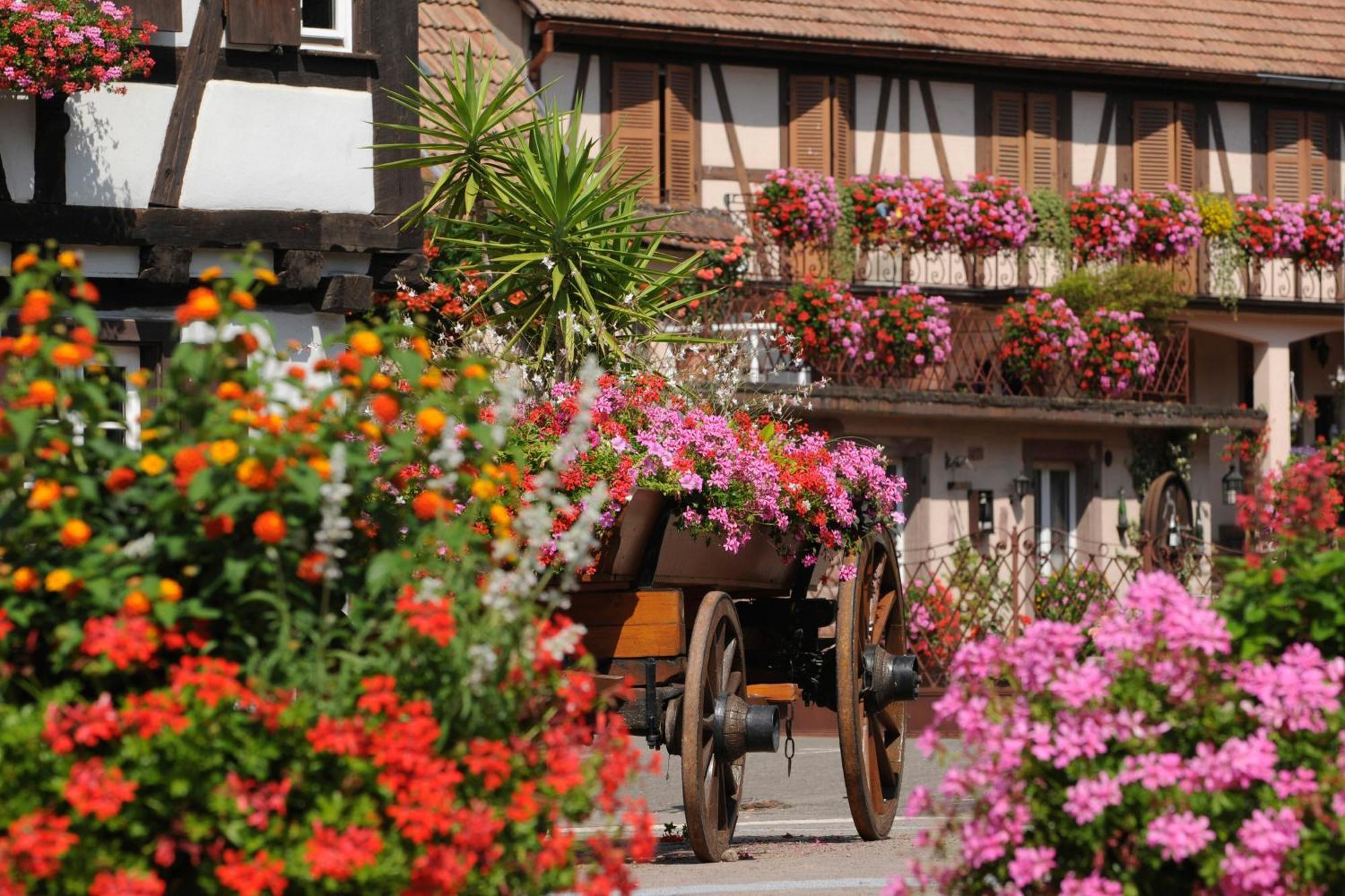 Gite Jeanne Familial - Calme - Parking Ebersheim Luaran gambar